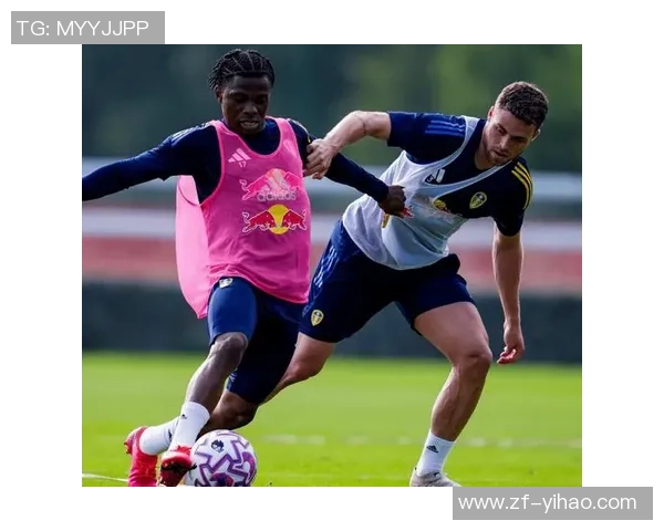 热刺主场迎战利兹联精彩直播全程回顾与分析